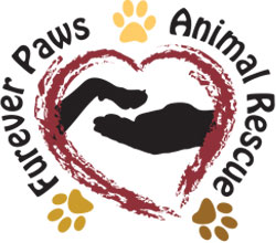 Furever Paws Animal Rescue | Florida Animal Rescue 