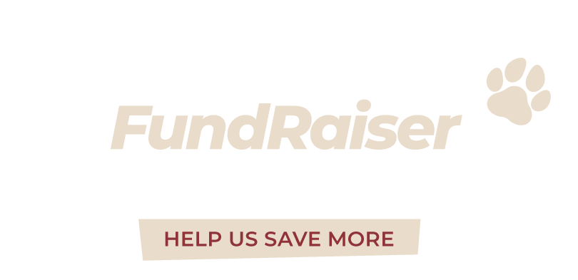 Furever Paws Kennel Fundraiser